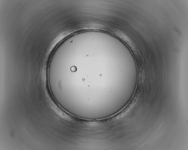 X0000113151130200909041227