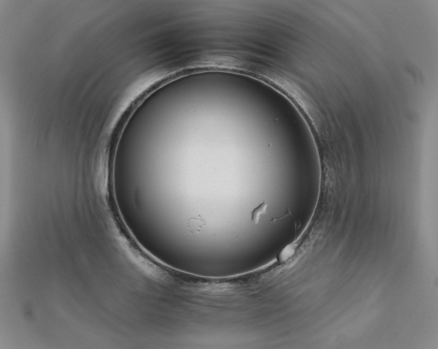 X0000113151131200909041227