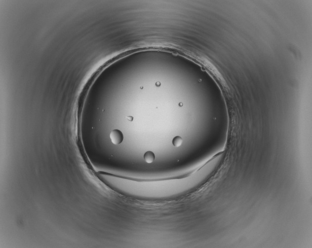 X0000113151132200909041227