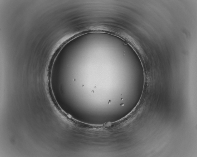 X0000113151133200909041227