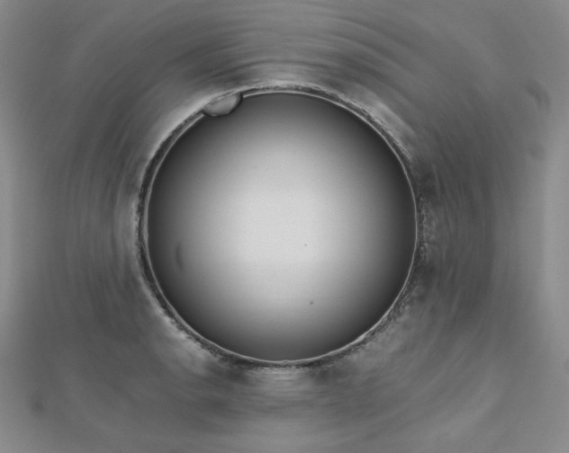 X0000113151134200909041227