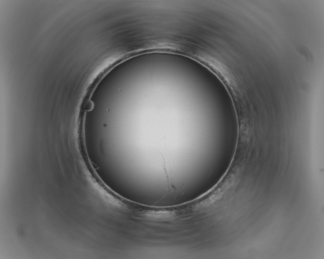 X0000113151135200909041227