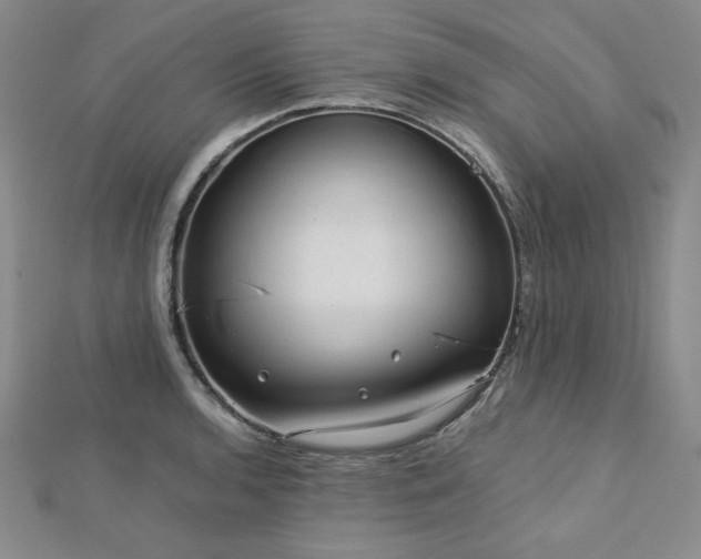 X0000113151136200909041227