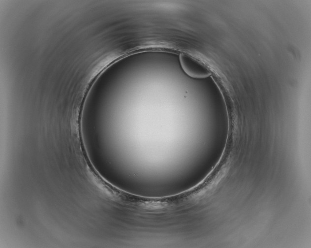 X0000113151137200909041227