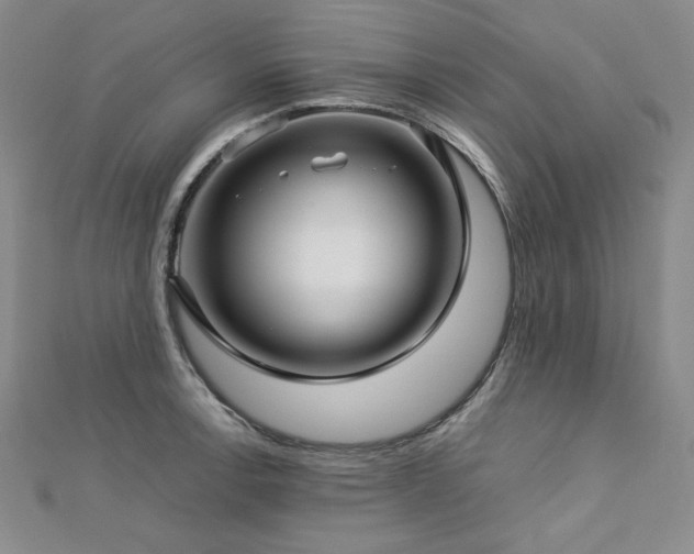 X0000113151138200909041227