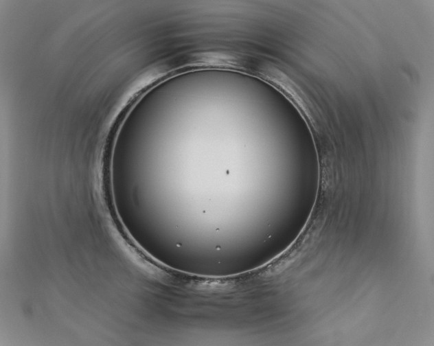 X0000113151139200909041227