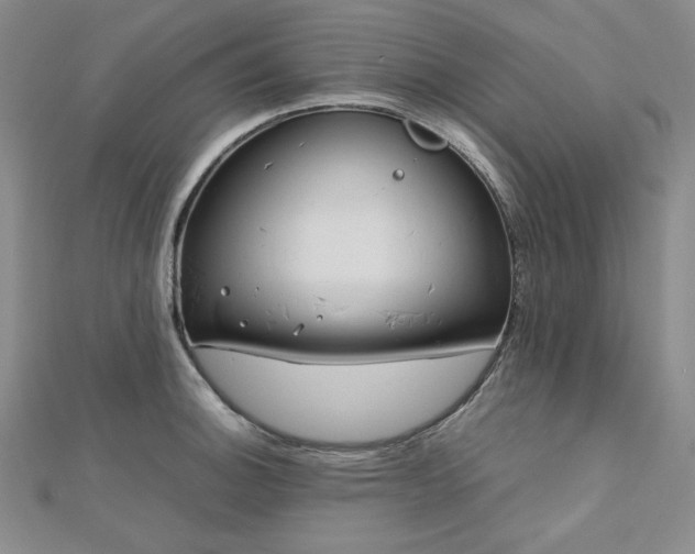 X0000113151140200909041227