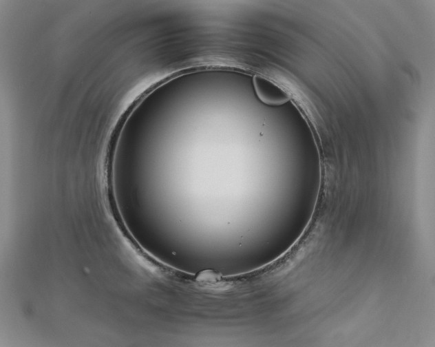 X0000113151141200909041227