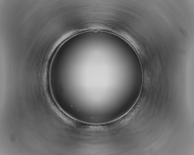 X0000113151142200909041227