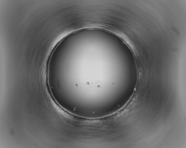 X0000113151143200909041227