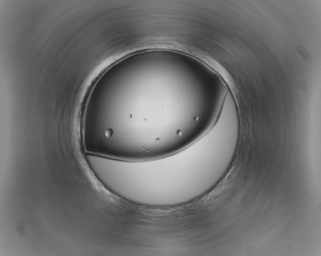 X0000113151144200909041227