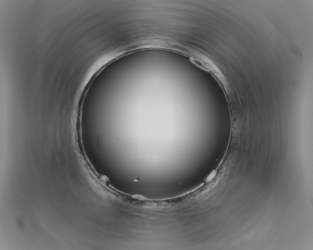 X0000113151146200909041227