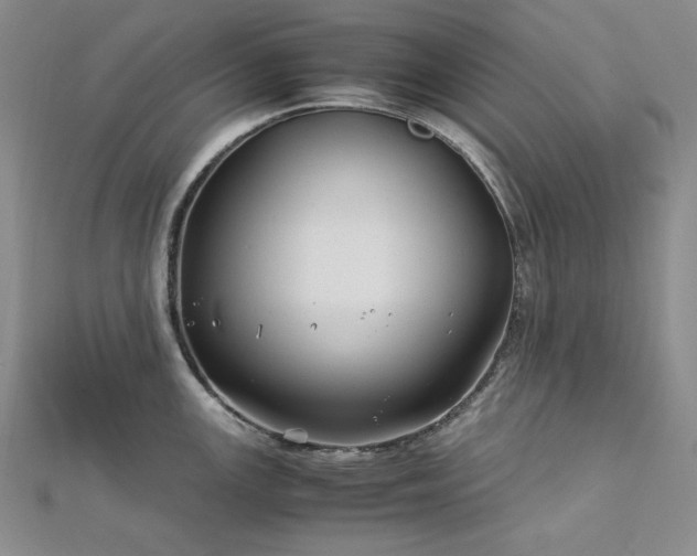 X0000113151147200909041227