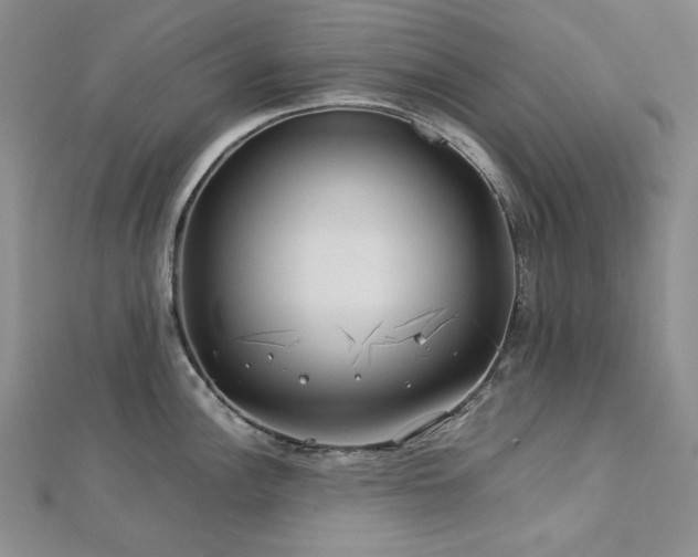 X0000113151148200909041227