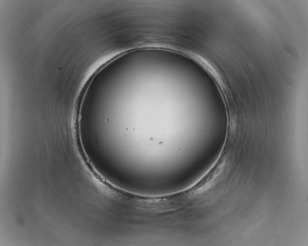 X0000113151149200909041227