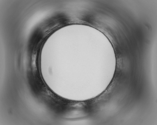 X0000113151150200909041227