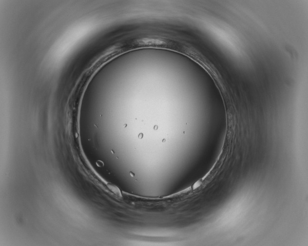 X0000113151151200909041227