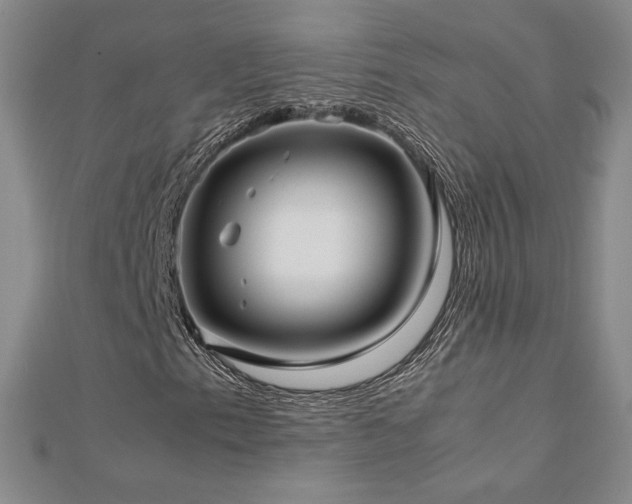 X0000113151153200909041227