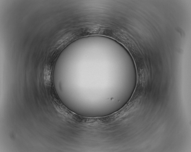 X0000113151154200909041227