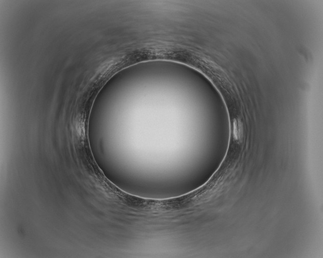 X0000113151155200909041227