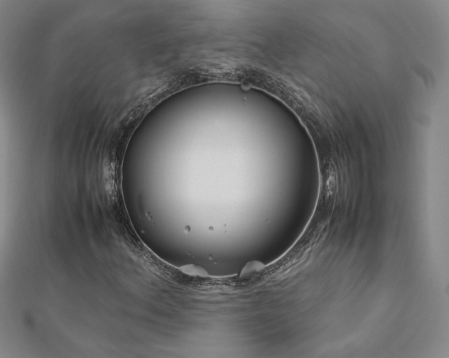 X0000113151156200909041227