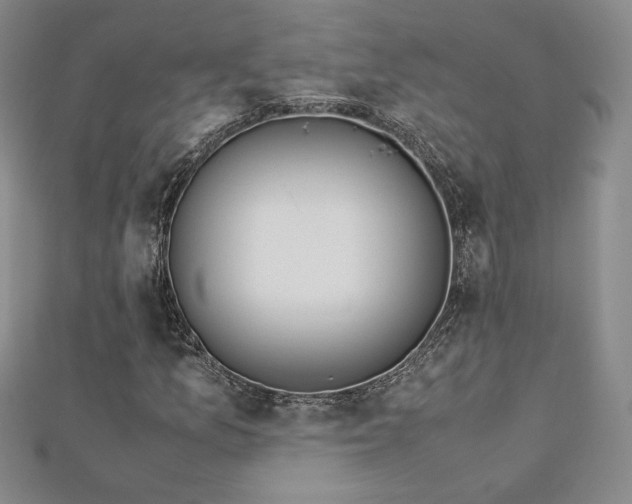 X0000113151157200909041227