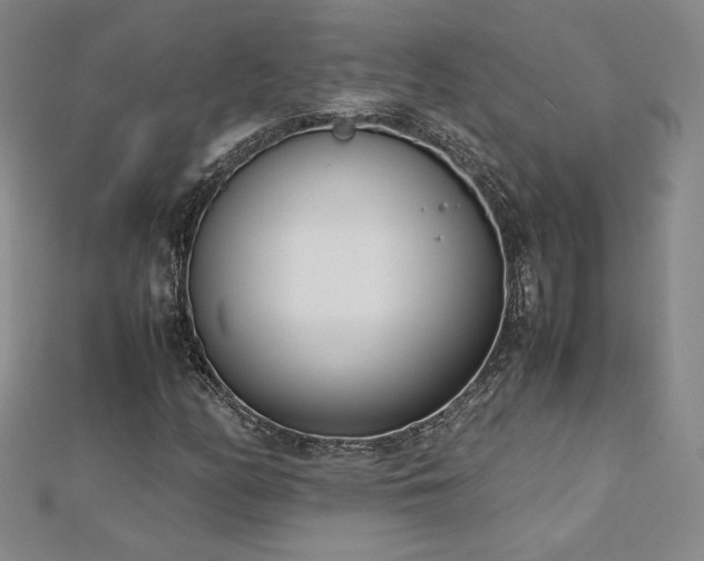 X0000113151158200909041227