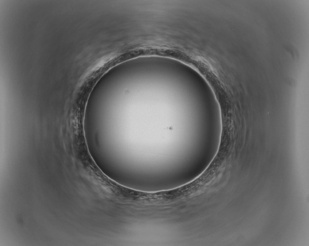 X0000113151159200909041227