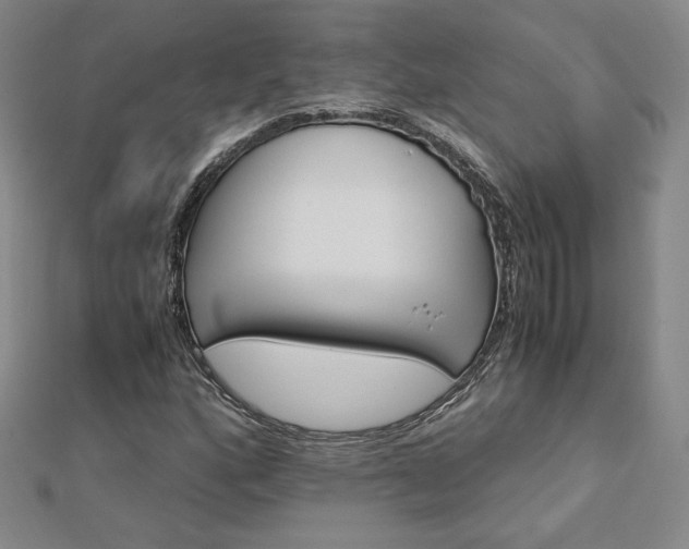 X0000113151160200909041227