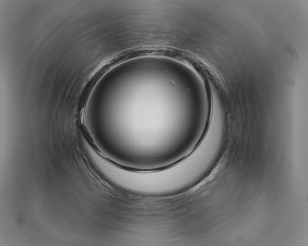 X0000113151162200909041227