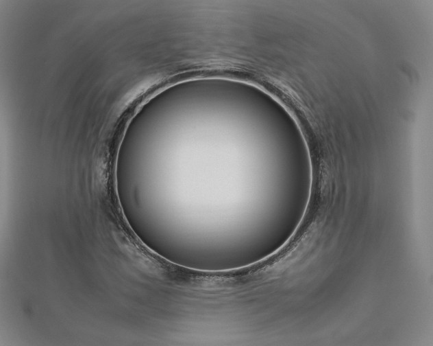 X0000113151163200909041226