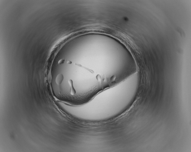 X0000113151164200909041226