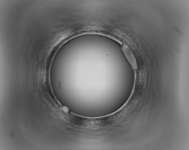 X0000113151165200909041226