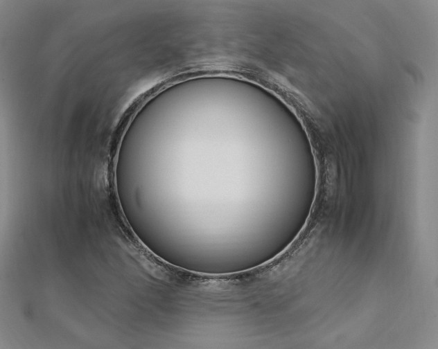 X0000113151166200909041226