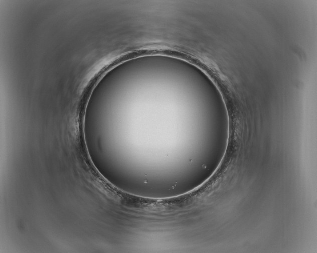 X0000113151167200909041226