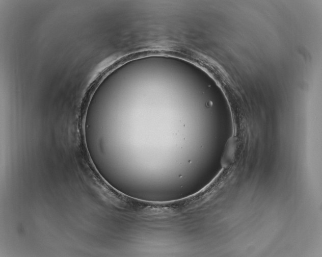 X0000113151168200909041226