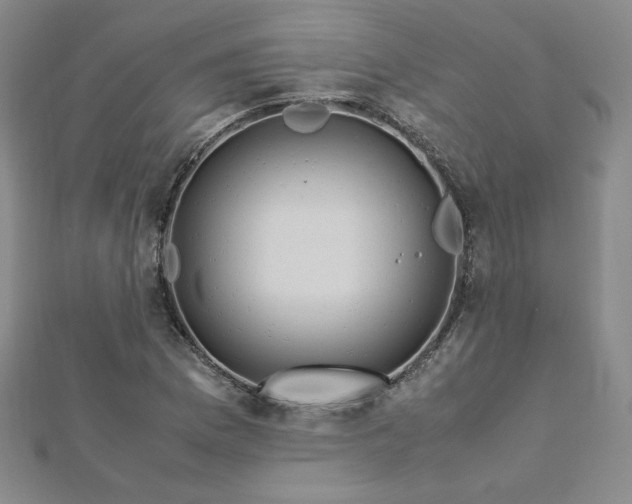 X0000113151169200909041226