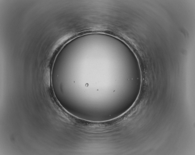 X0000113151171200909041226