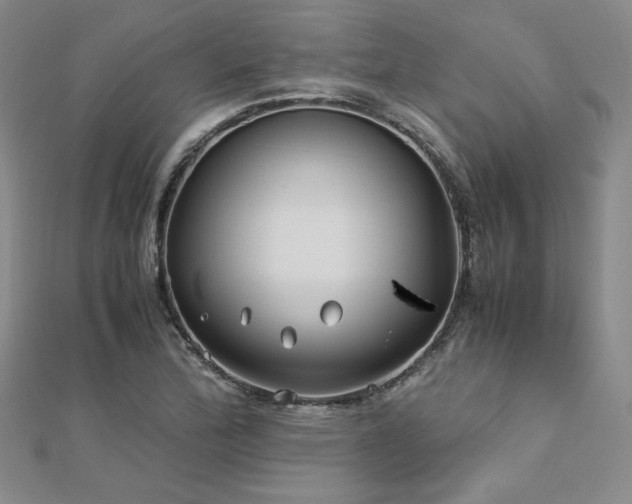 X0000113151172200909041226