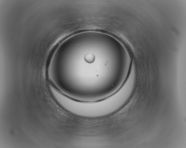 X0000113151173200909041226