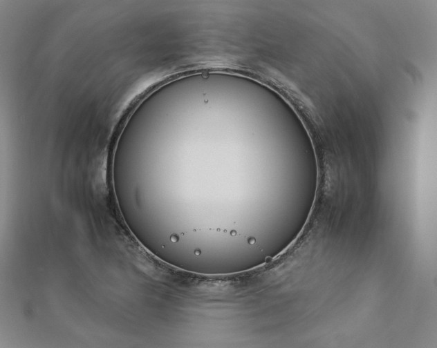 X0000113151174200909041226