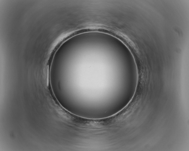 X0000113151175200909041226