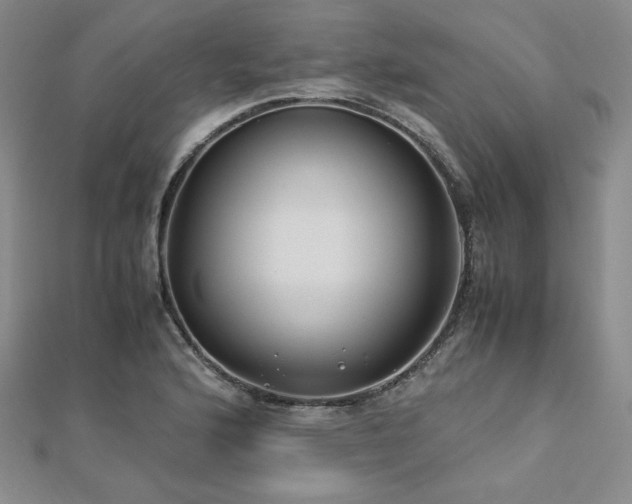 X0000113151176200909041226