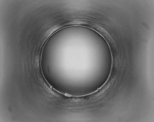 X0000113151177200909041226