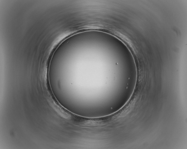 X0000113151179200909041226