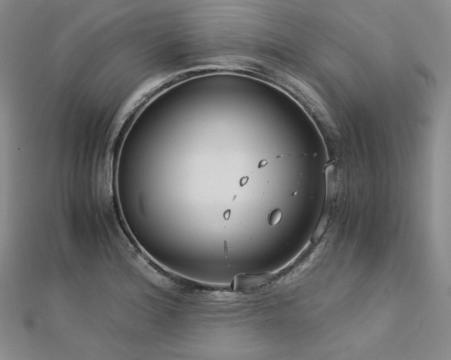 X0000113151180200909041226