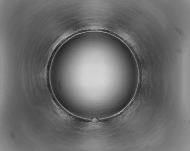 X0000113151181200909041226