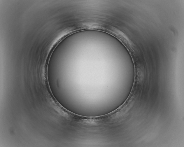 X0000113151182200909041226