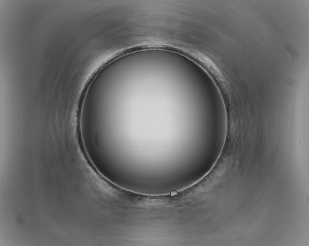 X0000113151183200909041226