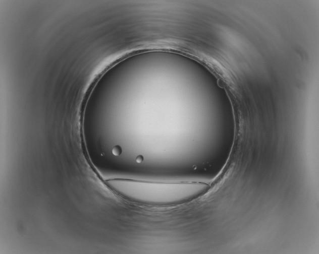 X0000113151184200909041226